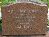 image of grave number 919206